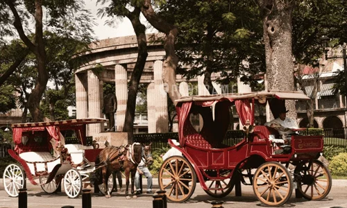 paseo-calandria-portada.webp