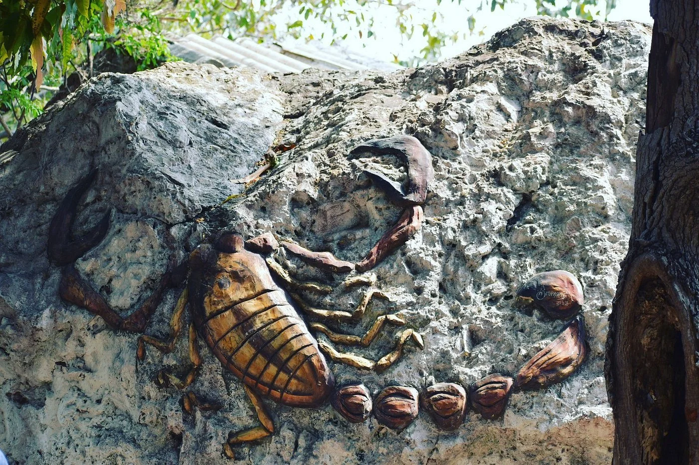 Isla de los Alacranes