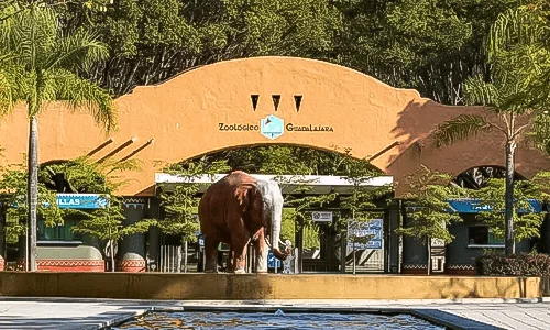 zoologico-guadalajara-portada.webp
