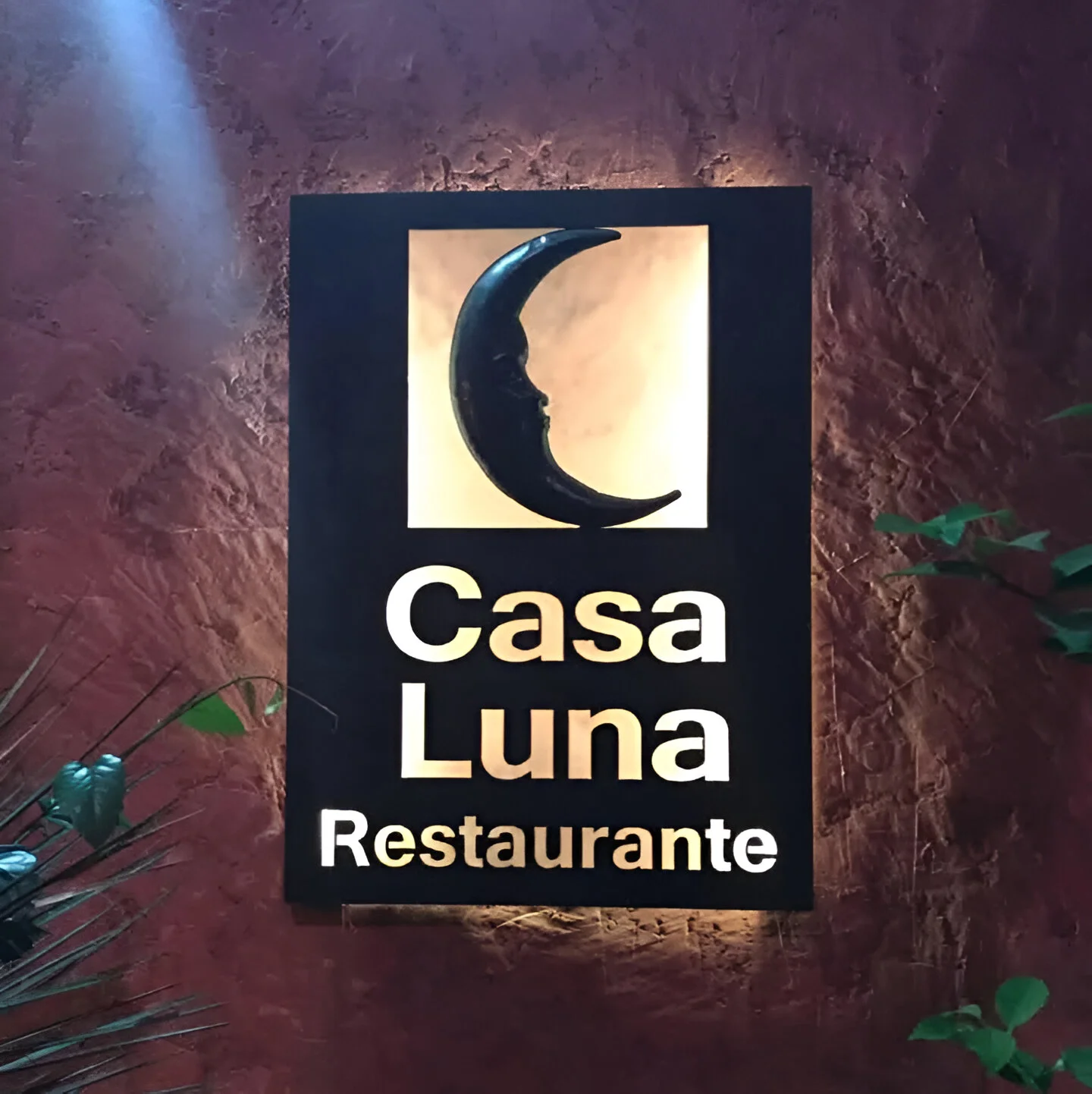 casa-luna-portada.webp