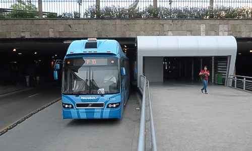 macrobus-portada.webp